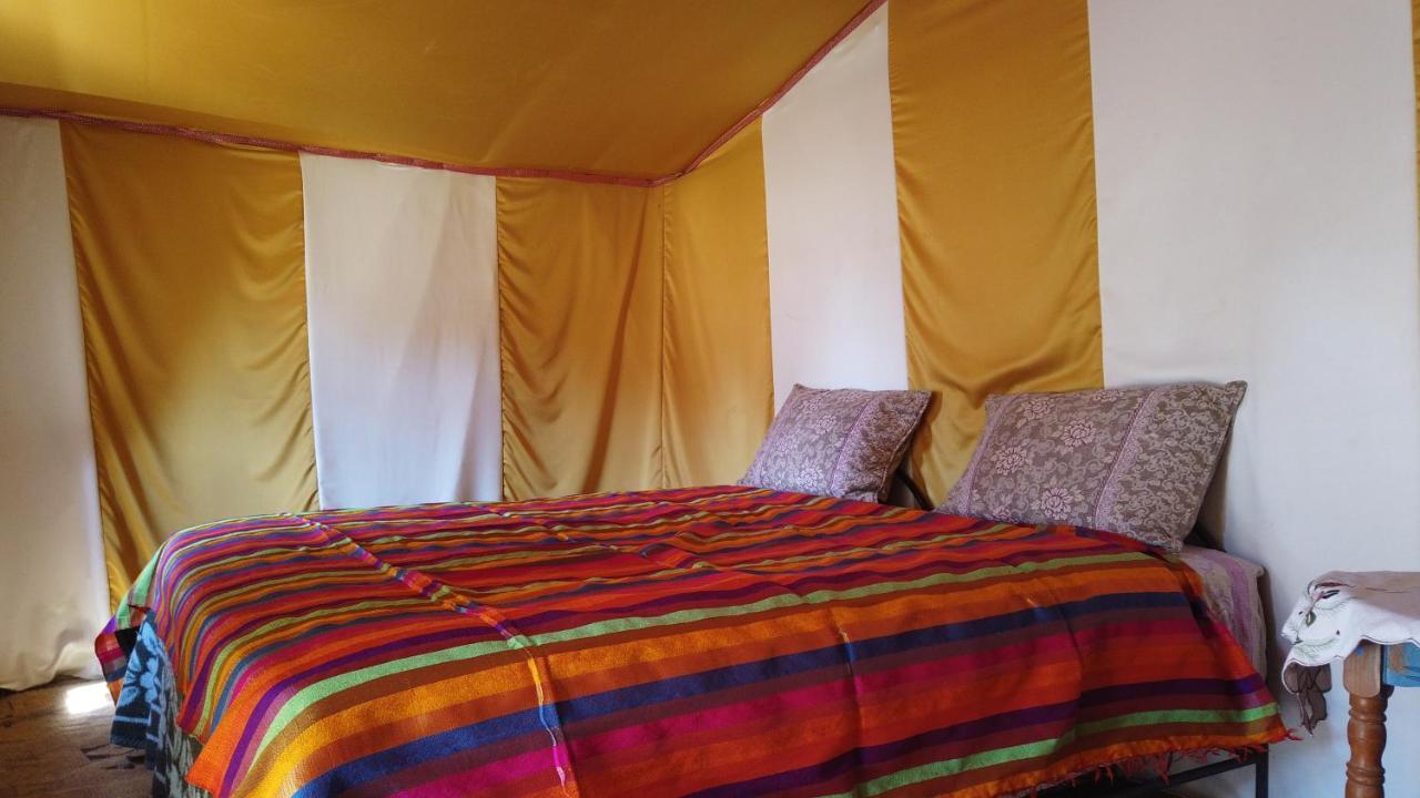 Camp Sahara Dunes Otel M'Hamid Dış mekan fotoğraf